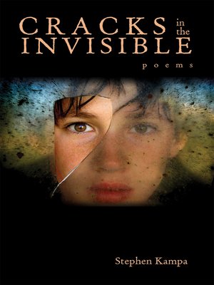 cover image of Cracks in the Invisible